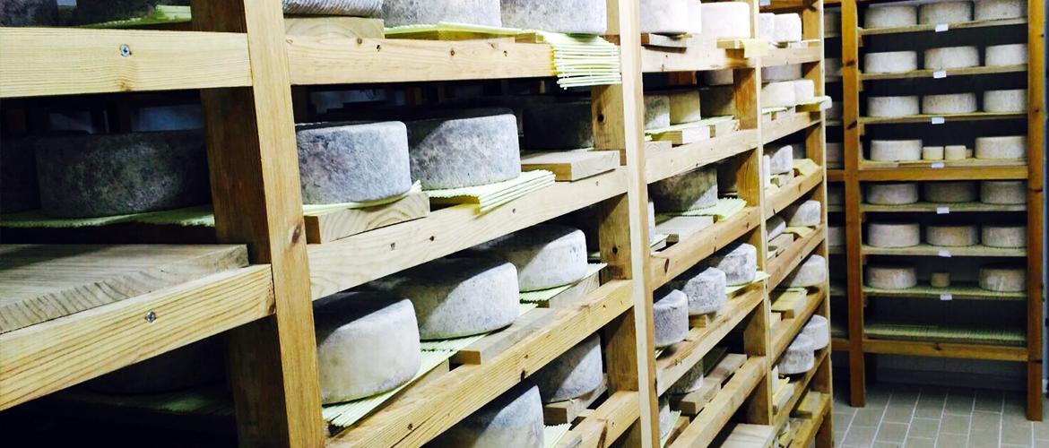 Taller de elaboración de quesos | Cerrucos de Kanama